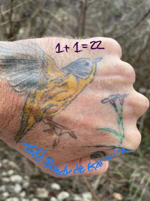 cover image of 1+1= 22